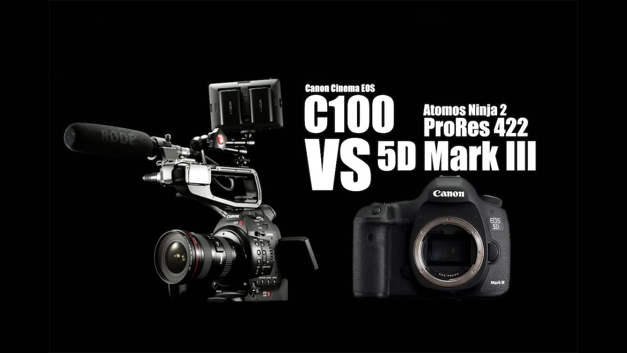 free download picture style canon 5d mark ii cinema